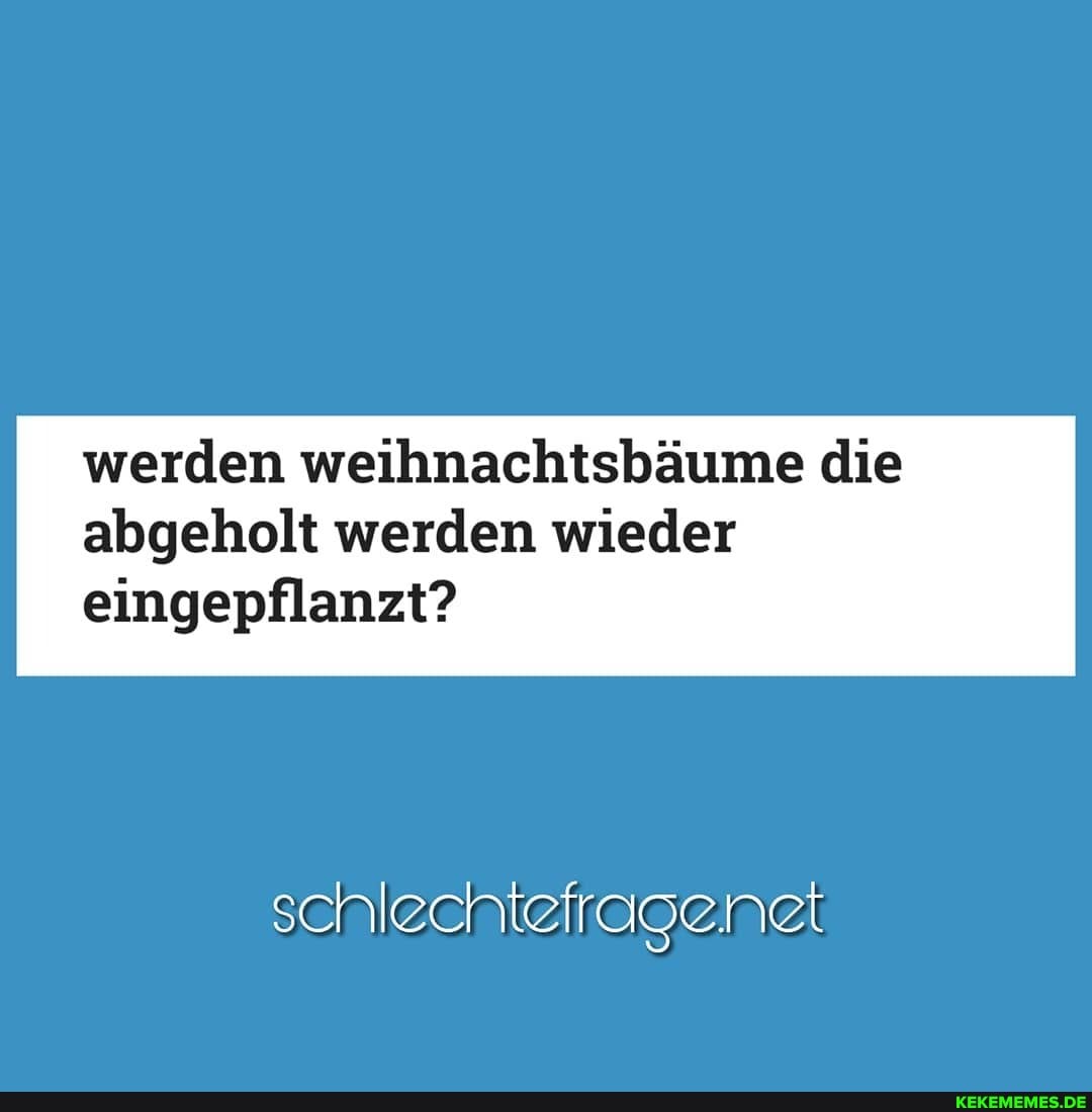 werden weihnachtsbäume die abgeholt werden wieder
eingepflanzt?
schlechtefragenet
