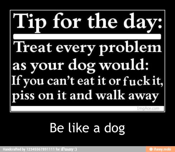 Tip for the day:
Treat every problem
as your dog would:
If you can't eat it or fuck it,
piss on it and walk away
Be like a dog - Be like a dog