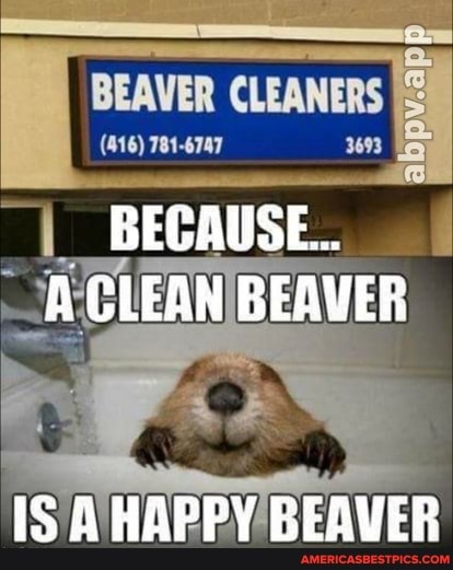 BEAVER CLEANERS
(416) 781-6747 3693
BEGAUSE...
A CLEAN BEAVER
IS AHAPPY BEAVER