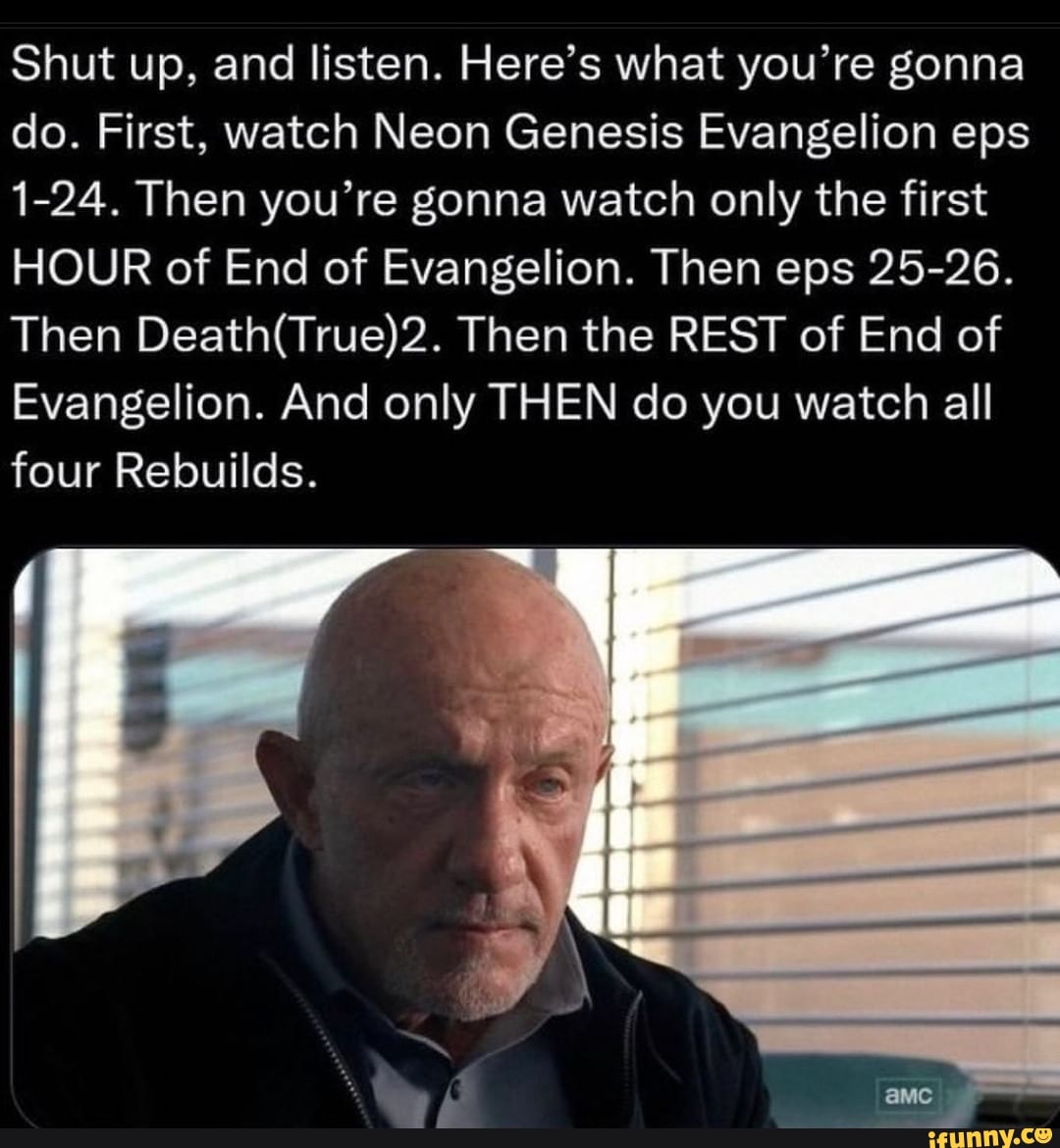 The definitive guide for watching Neon Genesis Evangelion in order ES  PARADISE LOST Th - iFunny