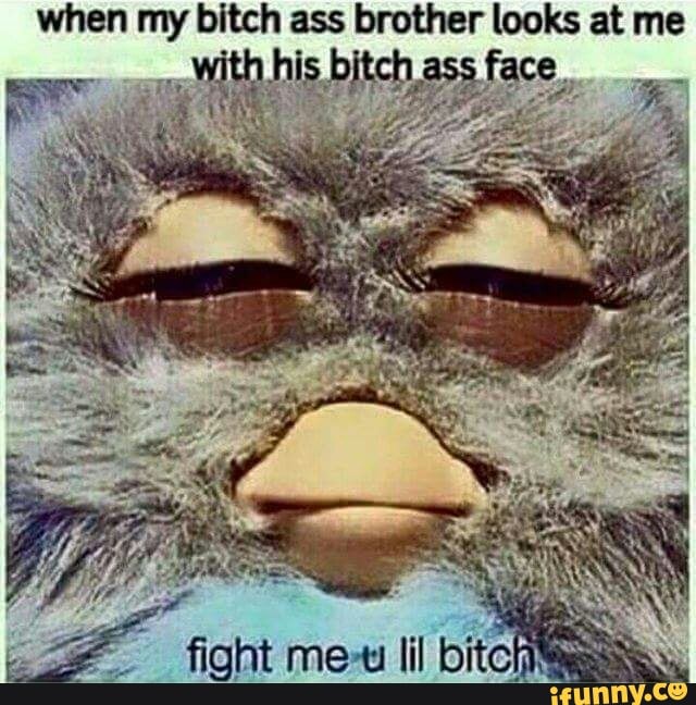 furby meme fight me