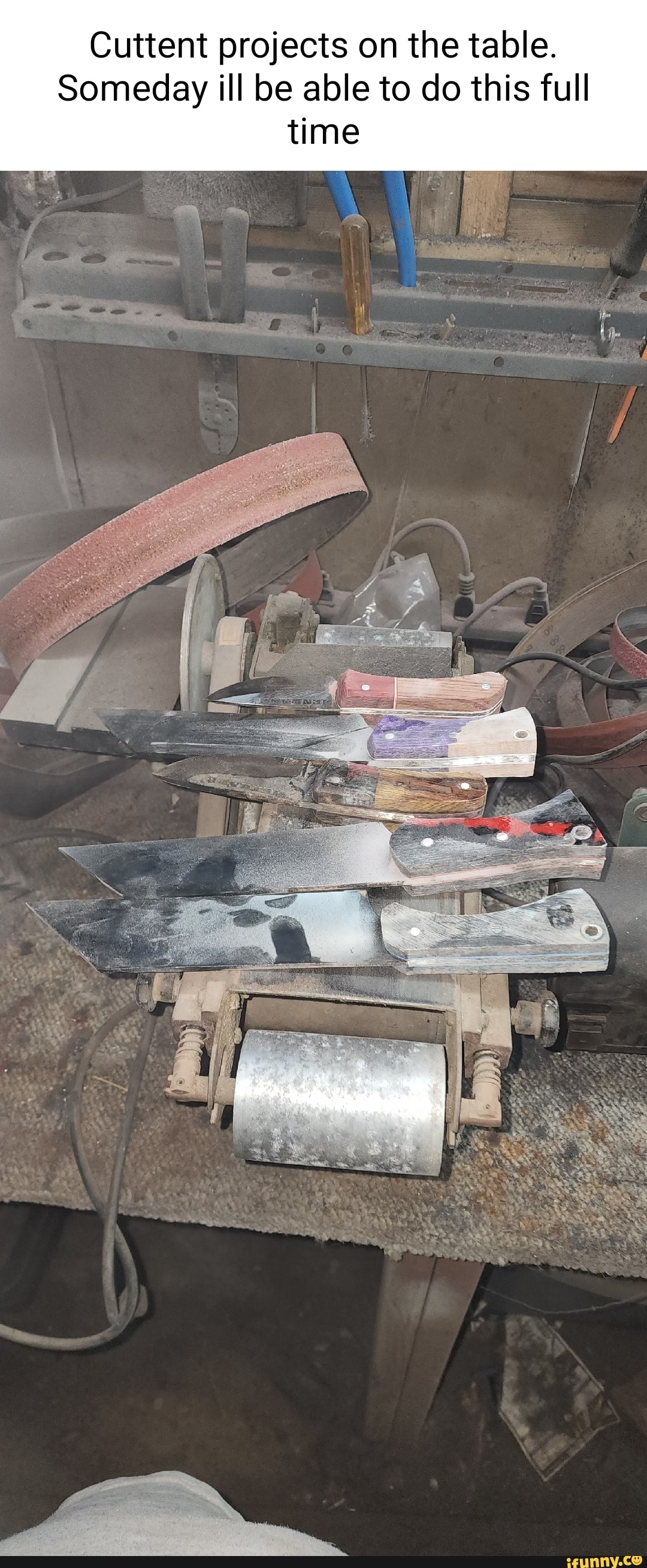 Cuttent memes. Best Collection of funny Cuttent pictures on iFunny