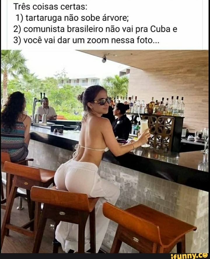 Três coisas certas:
1) tartaruga não sobe árvore;
2) comunista brasileiro não vai pra Cuba e
3) você vai dar um zoom nessa foto.