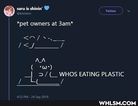 saru is shinin' @
Follow
*pet owners at
AN
-I / WHOS EATING PLASTIC