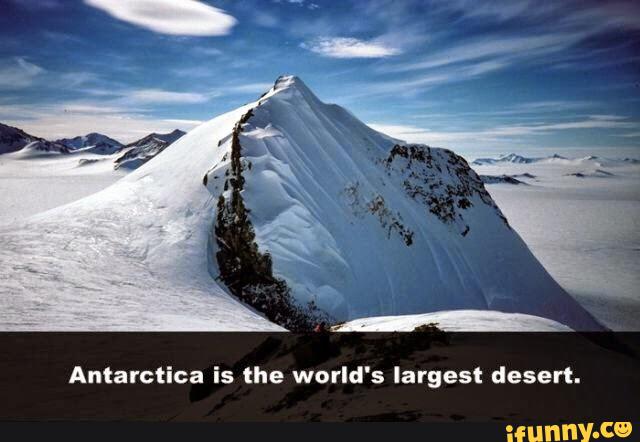 outside of antarctica what is the largest desert in the world