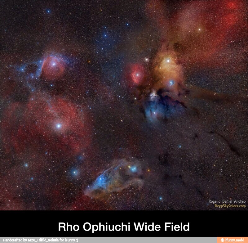 Field Rho Ophiuchi Wide - Rho Ophiuchi Wide Field