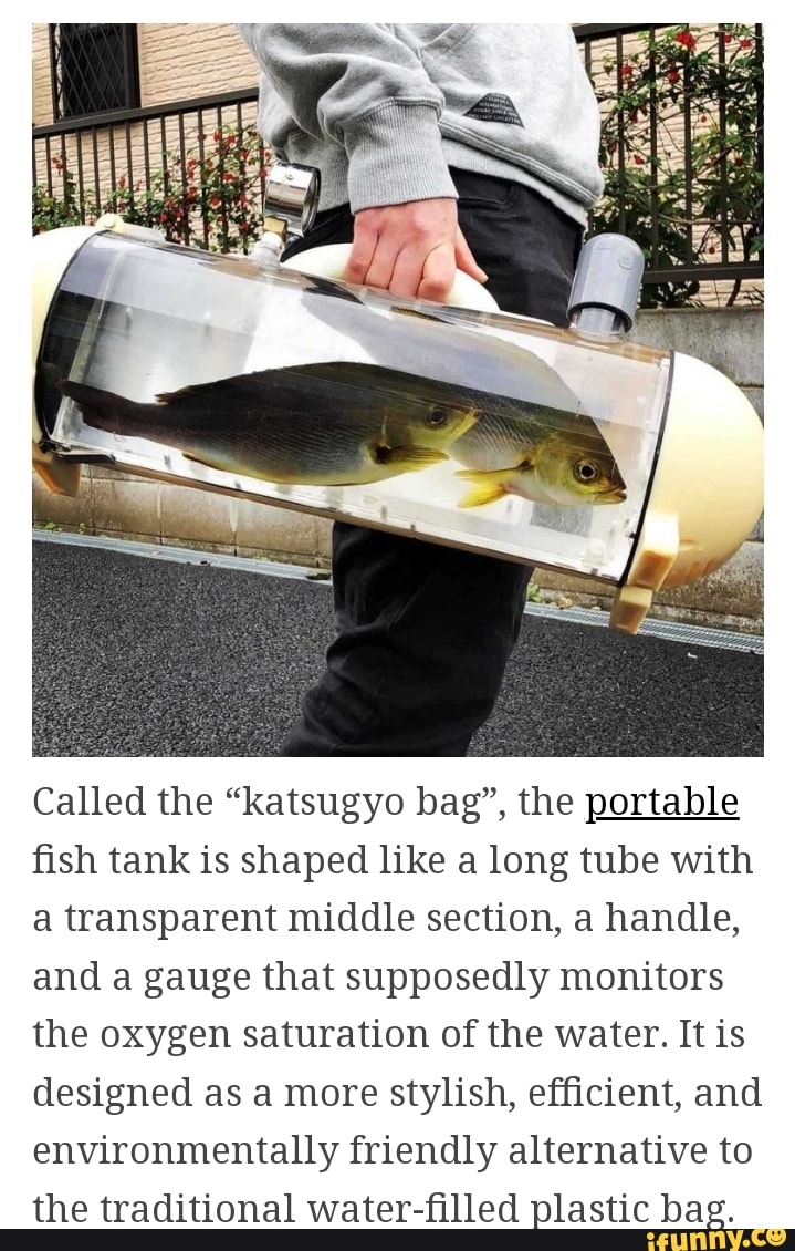 Called the katsugyo bag, the portable fish tank is shaped like a