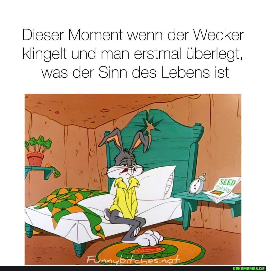 Dieser Moment wenn der Wecker klingelt und man erstmal überlegt, was der Sinn des Lebens ist