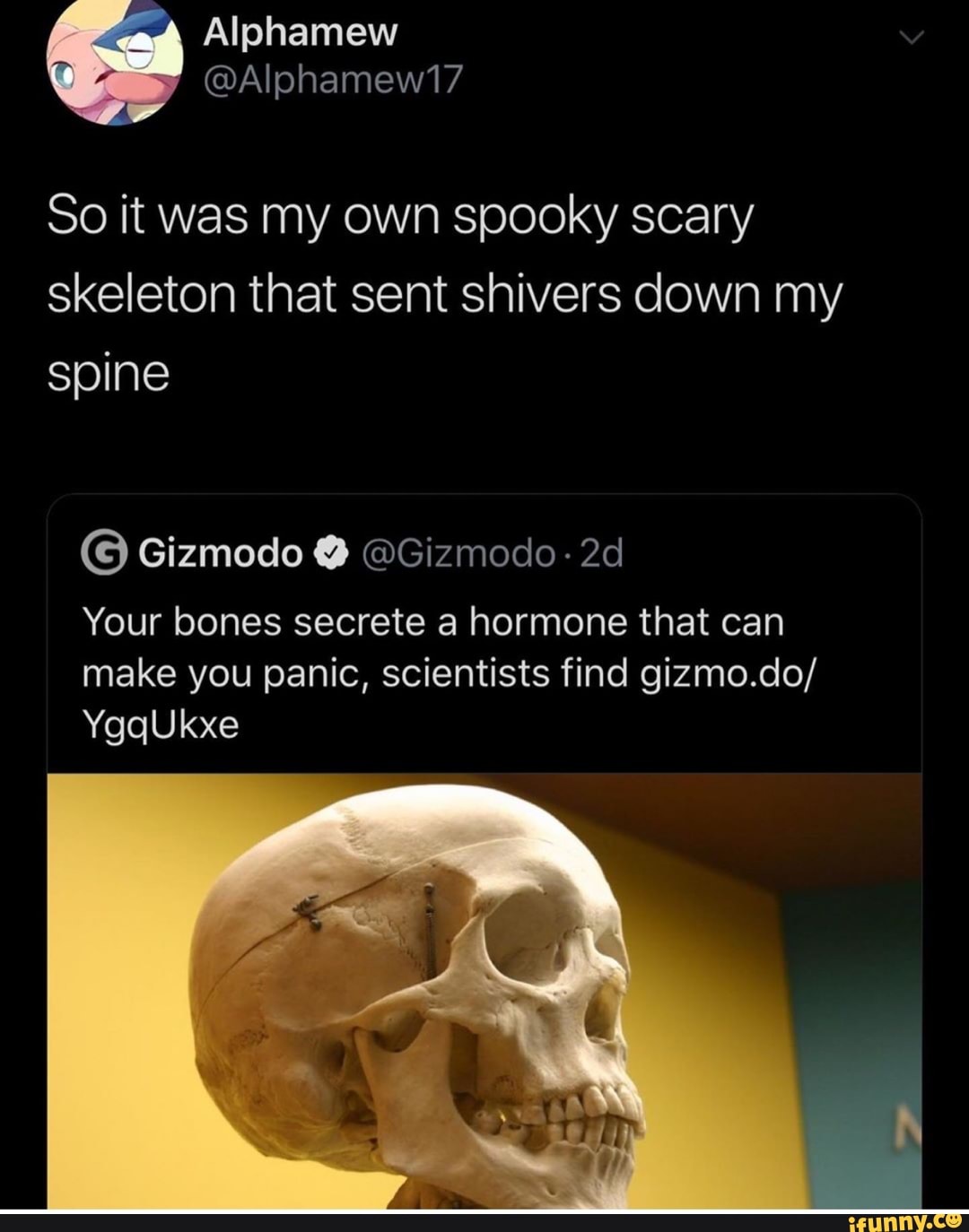 spooky scary skeletons sends shivers down your spine