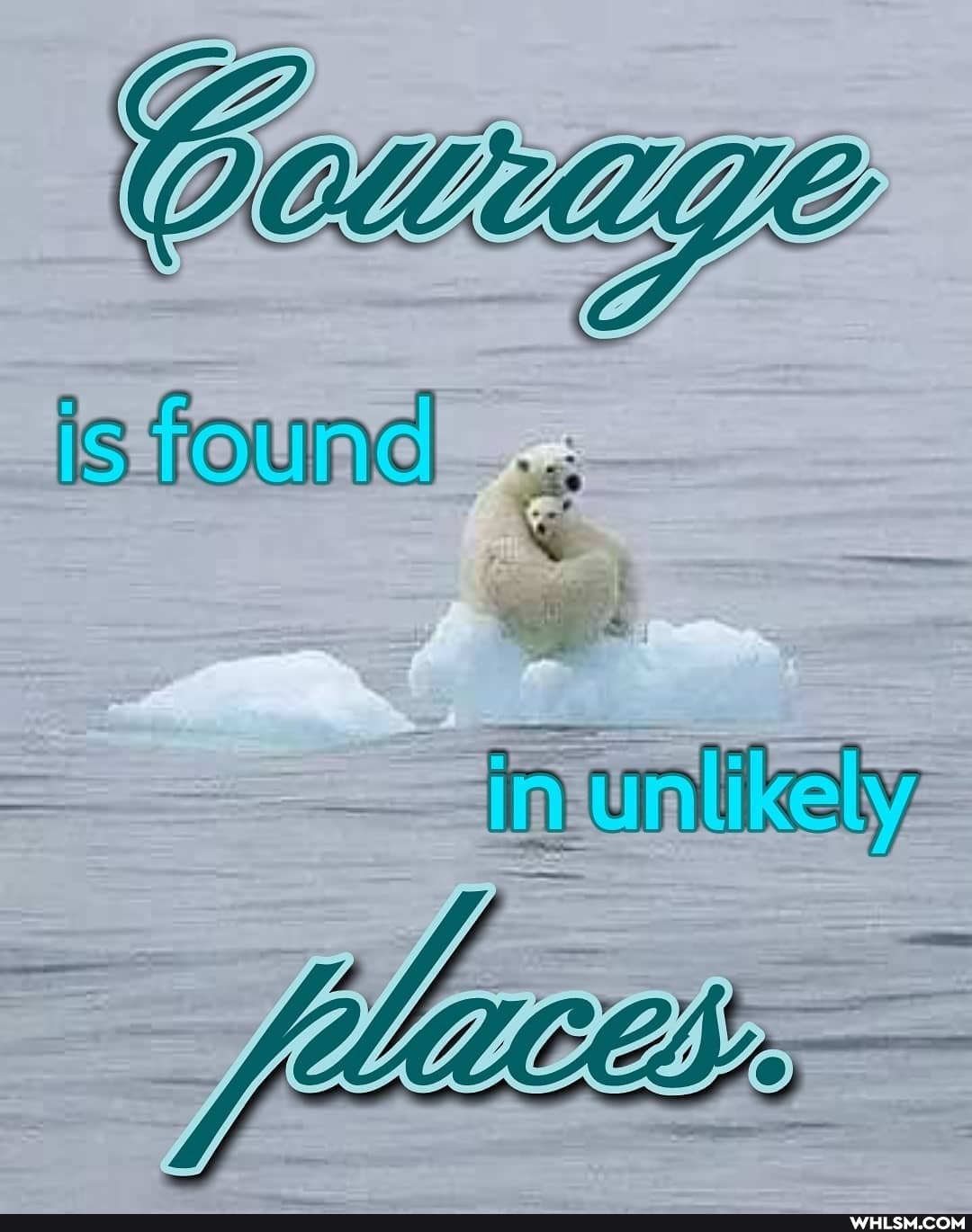 Cor Je
is found