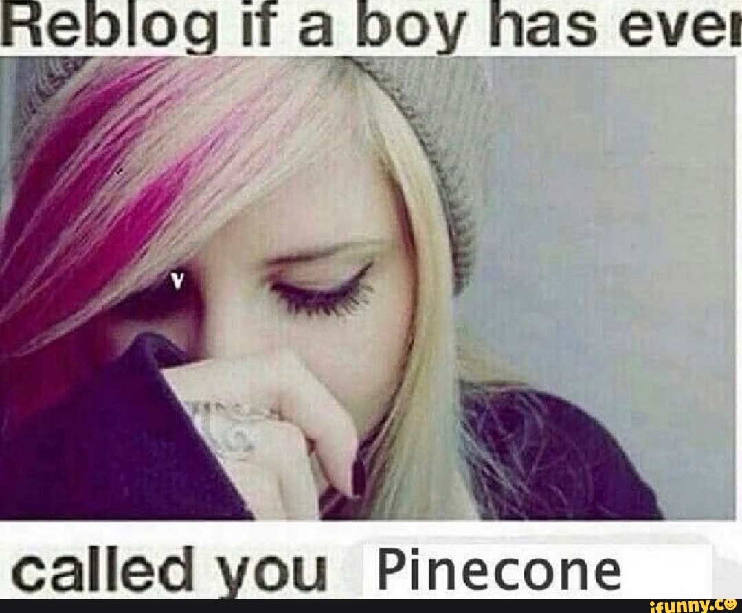 eblog If a boy has evel
called you Pinecone