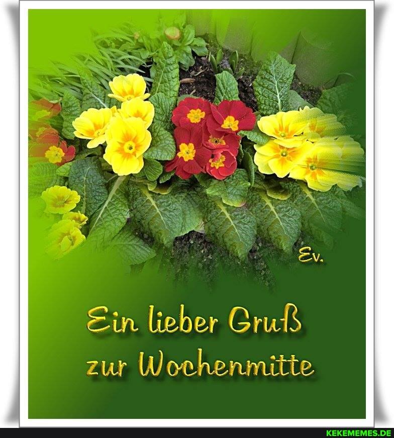 Ein lieber Cruß zur Wochenmitte