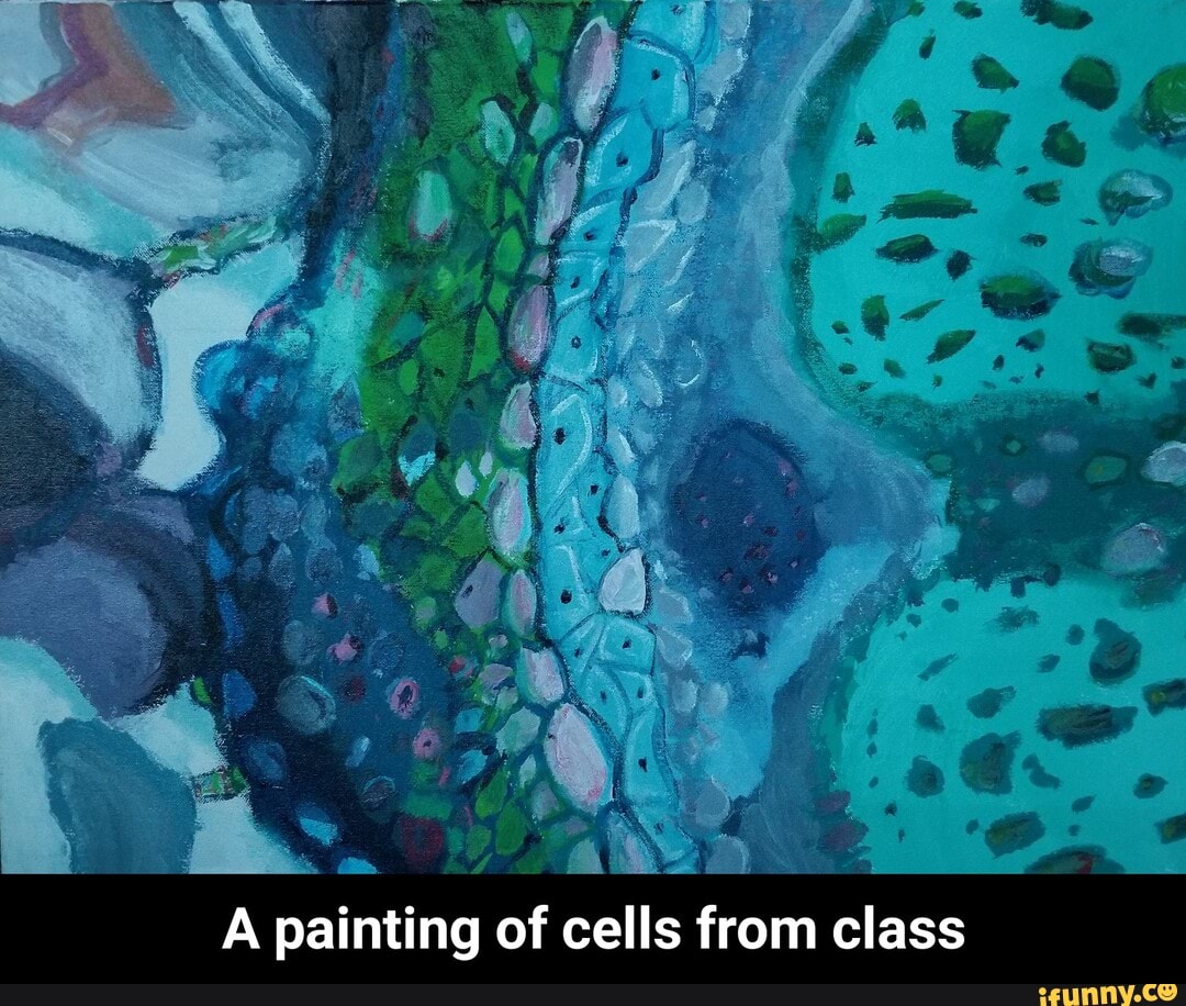 OF
\ &
A painting of cells from class - A painting of cells from class