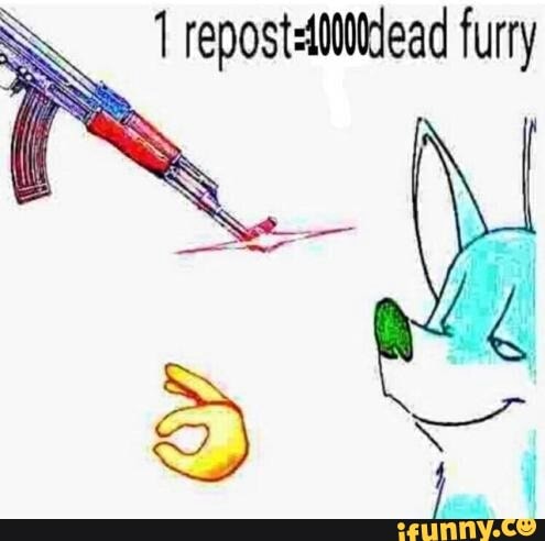 usa, animais, brasileiro, furry