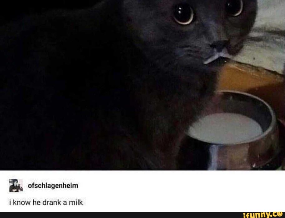 I know he drank a milk iFunny