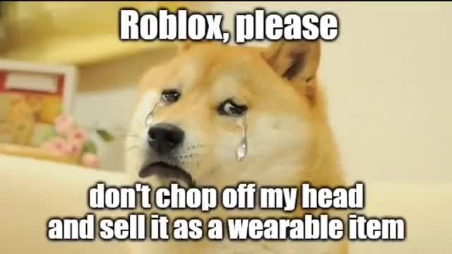 Dogememe Memes Best Collection Of Funny Dogememe Pictures On Ifunny - hi im doge roblox