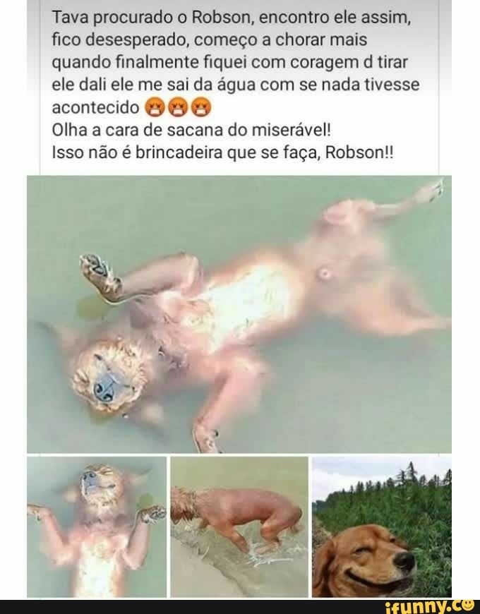Tava procurado o Robson, encontro ele assim, fico desesperado, começo a chorar mais quando finalmente fiquei com coragem d tirar ele dali ele me sai da água com se nada tivesse acontecido
Olha a cara de sacana do miserável!
Isso não é brincadeira que se faça, Robson!!