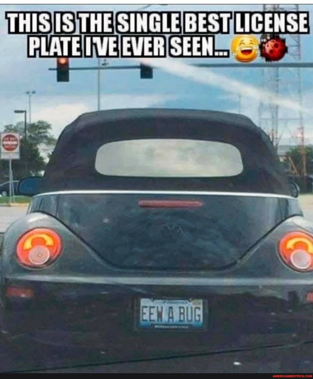 HE STRELE BEST EVER SEEN.