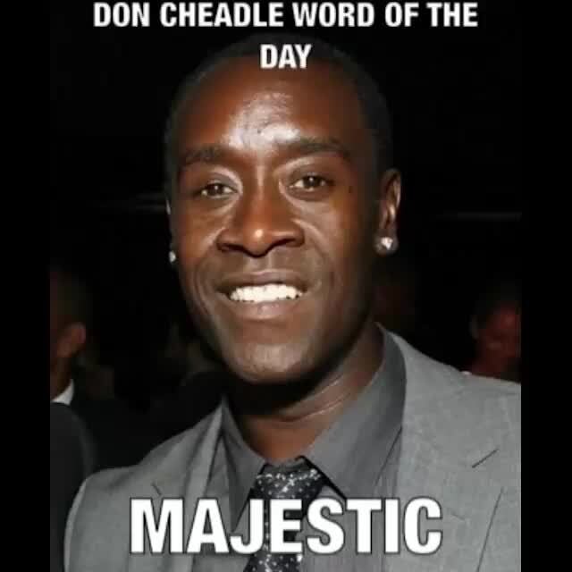 Word Of The Day Don Cheadle Word Of The Majestic