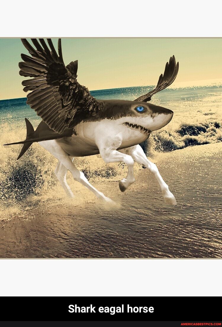 Shark DD horse - Shark eagal horse
