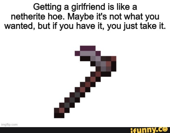 Getting a girlfriend is like a netherite hoe. Maybe it's not what you ...