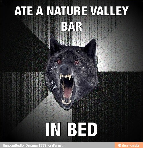 ATE A NATURE VALLEY
1
