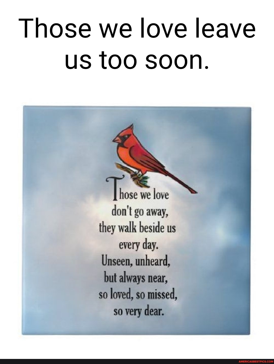 Those we love leave us too soon.
ose we love don't go away, they walk beside us every day.
Unseen, unheard,
but always near, so loved, so missed, so very dear.