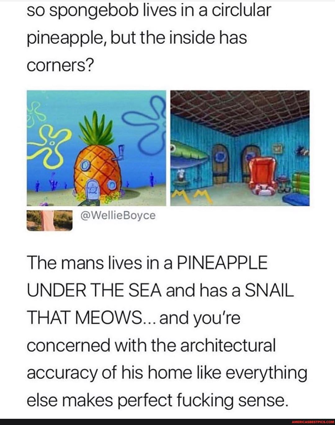 so spongebob lives in a circlular pineapple, but the inside has corners?
The mans lives in a PINEAPPLE UNDER THE SEA and has a SNAIL THAT MEOWS... and you're concerned with the architectural accuracy of his home like everything else makes perfect fucking sense.