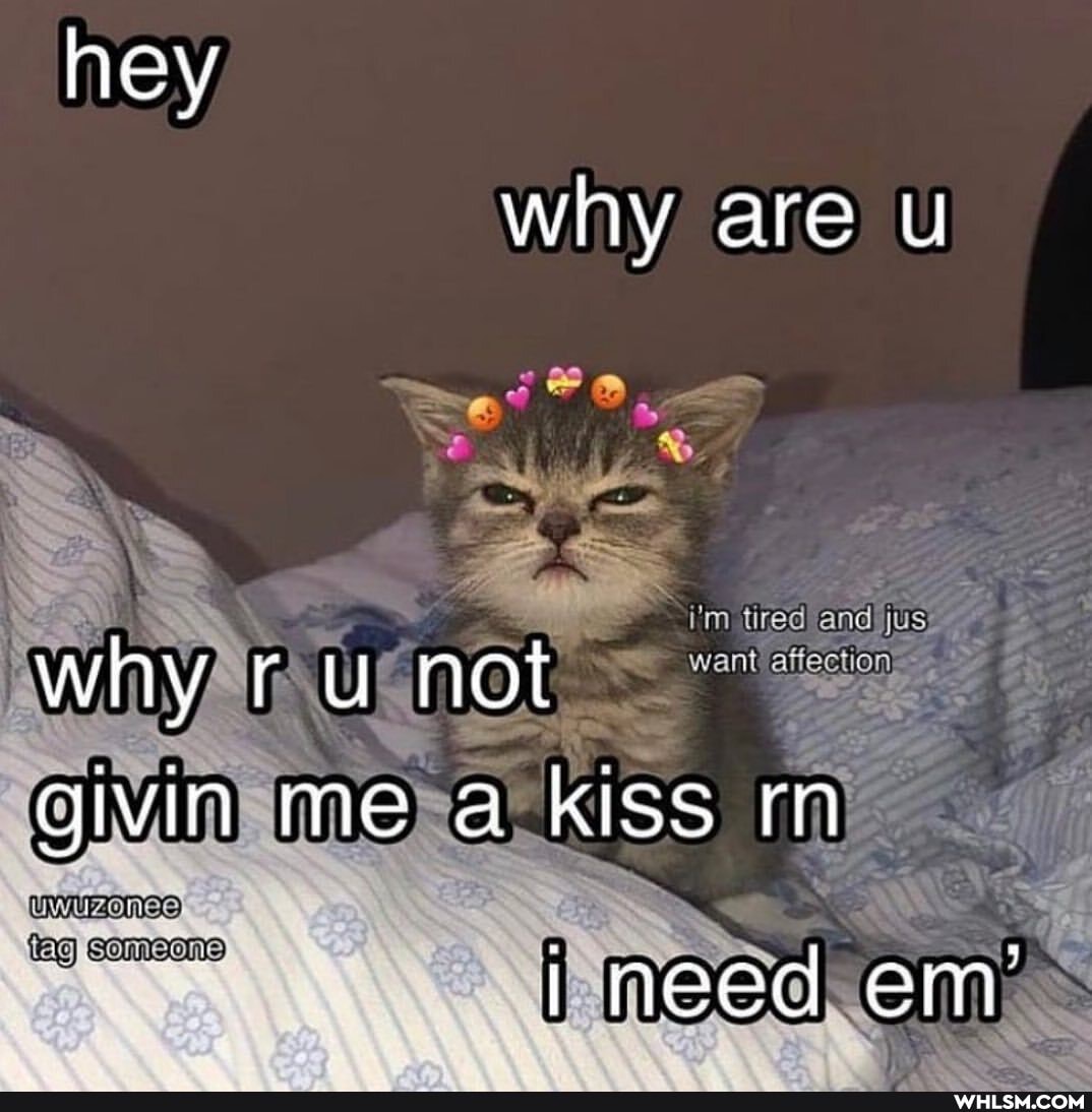 hey why are
why r u not wa givin me a kiss rn
(ag
Someone
i'm tired and)
need em