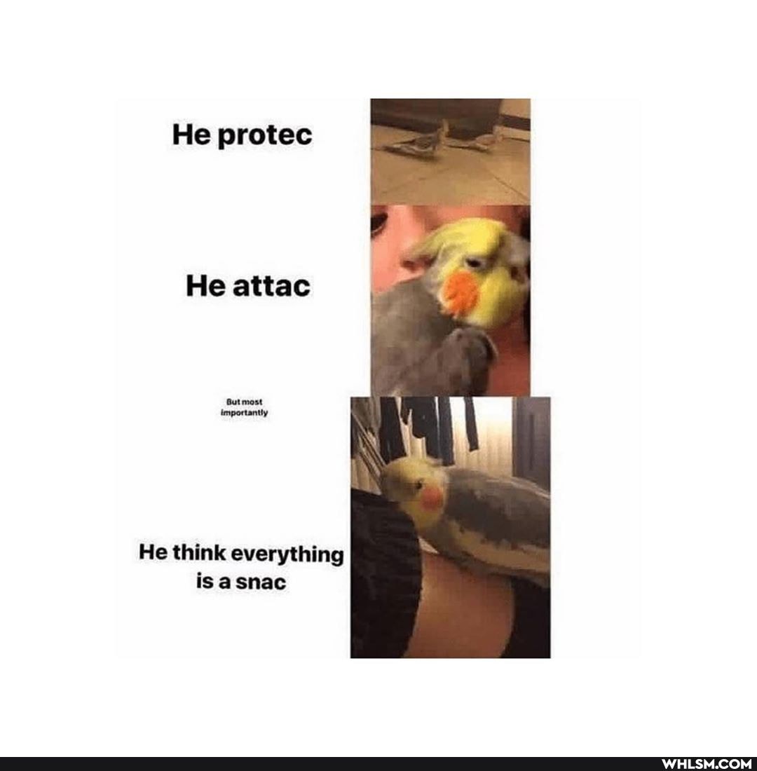 He protec
He attac
He think everything is asnac