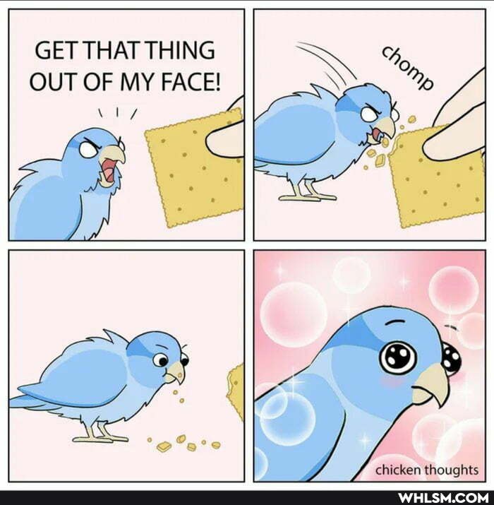 GET THAT THING OUT OF MY FACE!
/ chicken thoughts