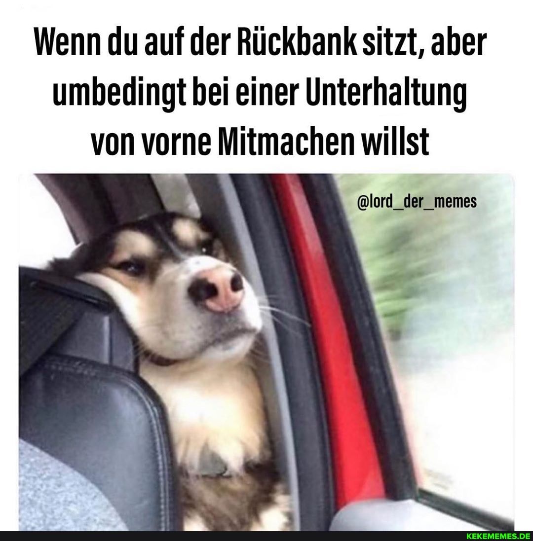 Wenn du auf der Rückbank sitzt, aber umbedingt bei einer Unterhaltung von vorne Mitmachen willst
@lord_der_memes