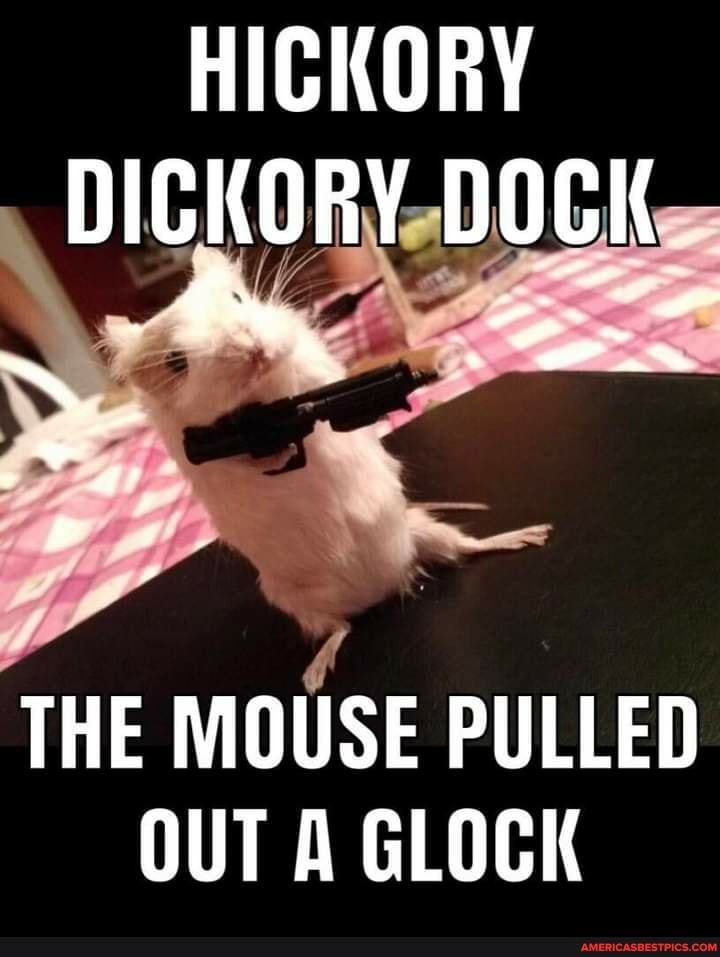 HICKORY DICKORY DOCK
* ~
THE MOUSE PULLED OUT A GLOCK