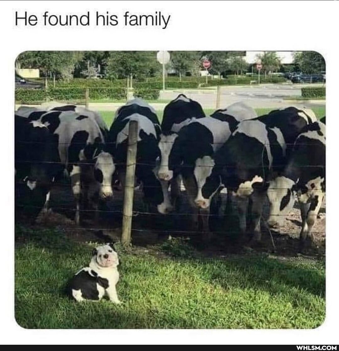 He found his family
=go