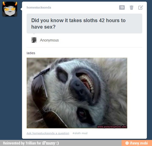 Did You Know It Takes Sloths 42 Hours To Have Sex
