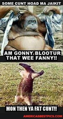 SOME CUNT HOAD MA JAIKIT
AM GONNY BLOOTUR-
THAT WEE FANNY!