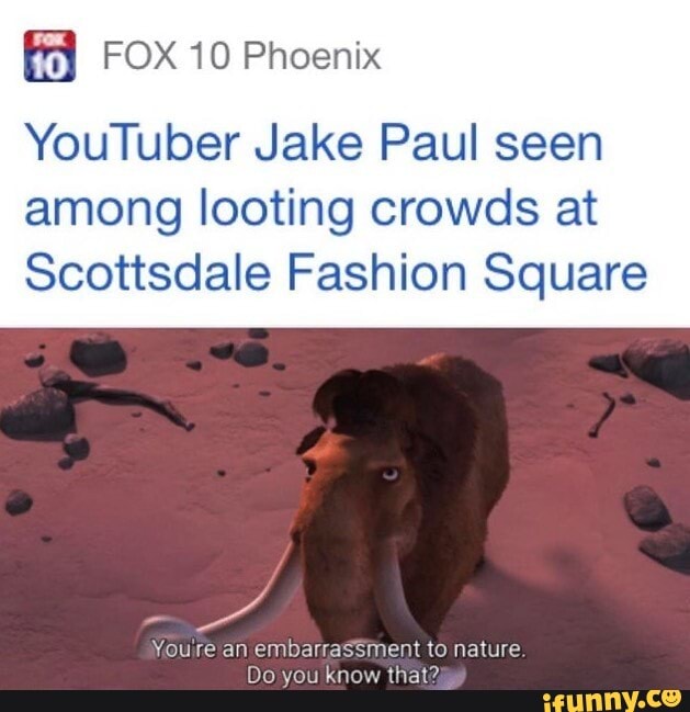 FOX 10 Phoenix
YouTuber Jake Paul seen among looting crowds at
Scottsdale Fashion Square
Youjre an embarrassment to nature.