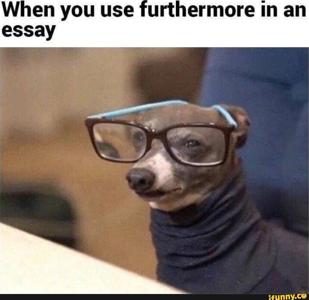 when you use furthermore in an essay meme