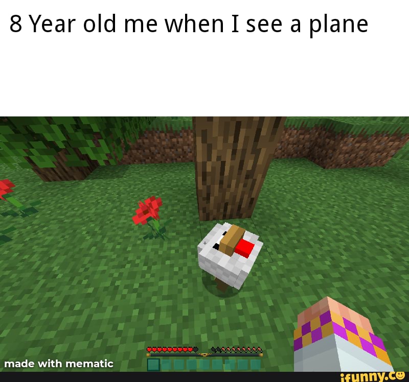8 Year old me when I see a plane