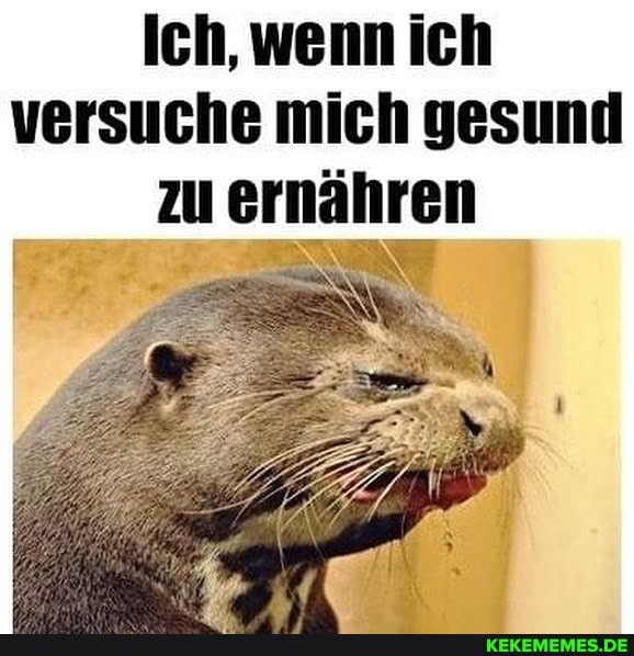 Ich, wenn ich versuche mich gesund zu ernähren