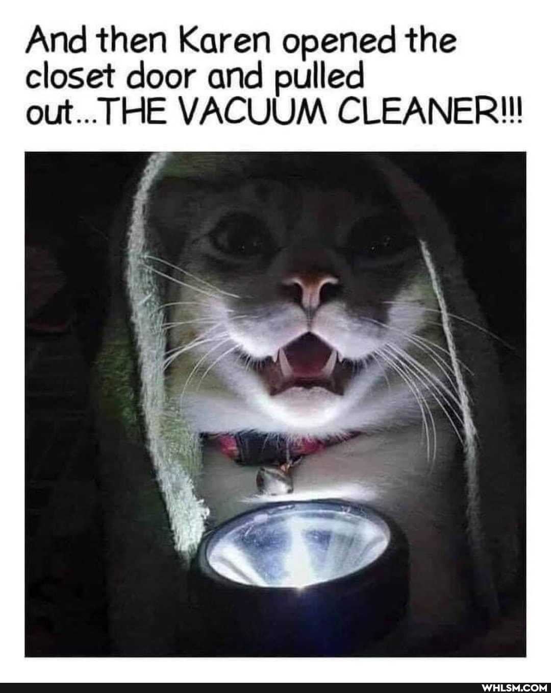 And then Karen opened the closet door and pulled out... THE VACUUM CLEANER'!!