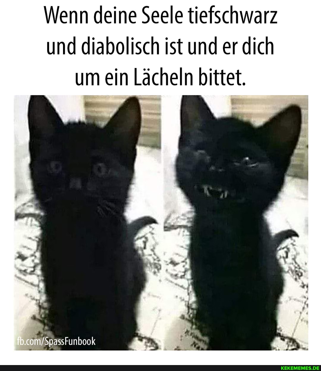 Wenn deine Seele tiefschwarz und diabolisch ist und er dich um ein Lächeln bittet.
ER
fb.com'Spassfunbook