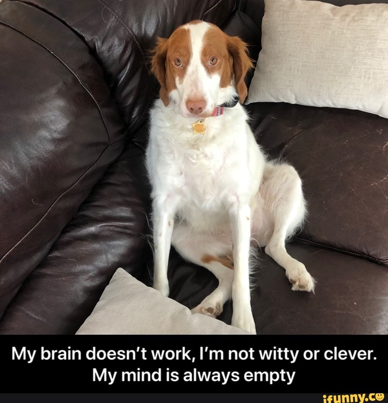 My brain doesn't work, I'm not witty or clever. My mind is always empty