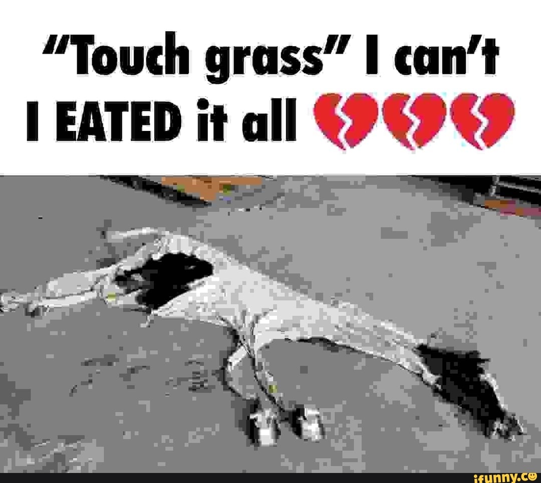 Touch Grass I Cant I Eated It All Ifunny 4491