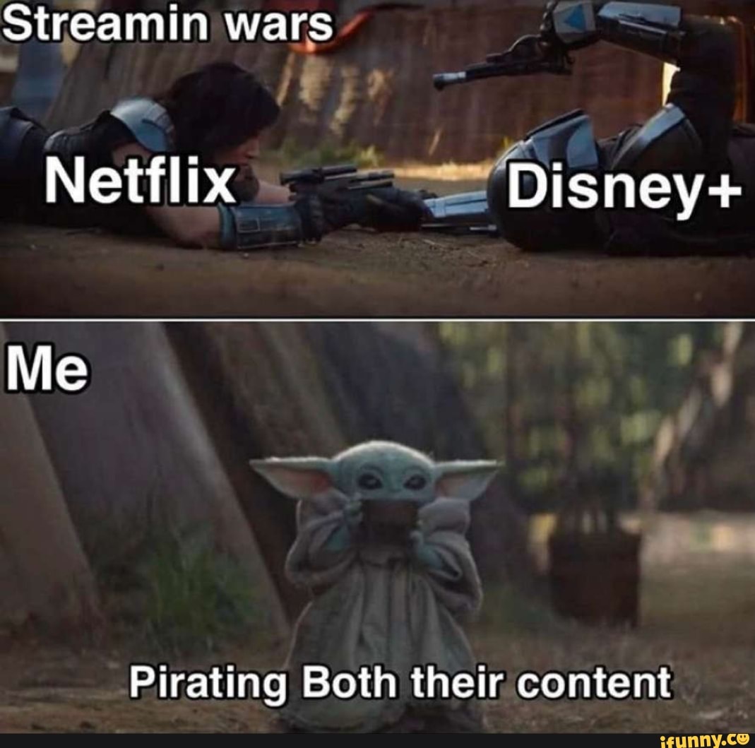 This is the way. This the way Мем. Нетфликс и Дисней Мем. Netflix Disney Pirate meme. This is the way meme.