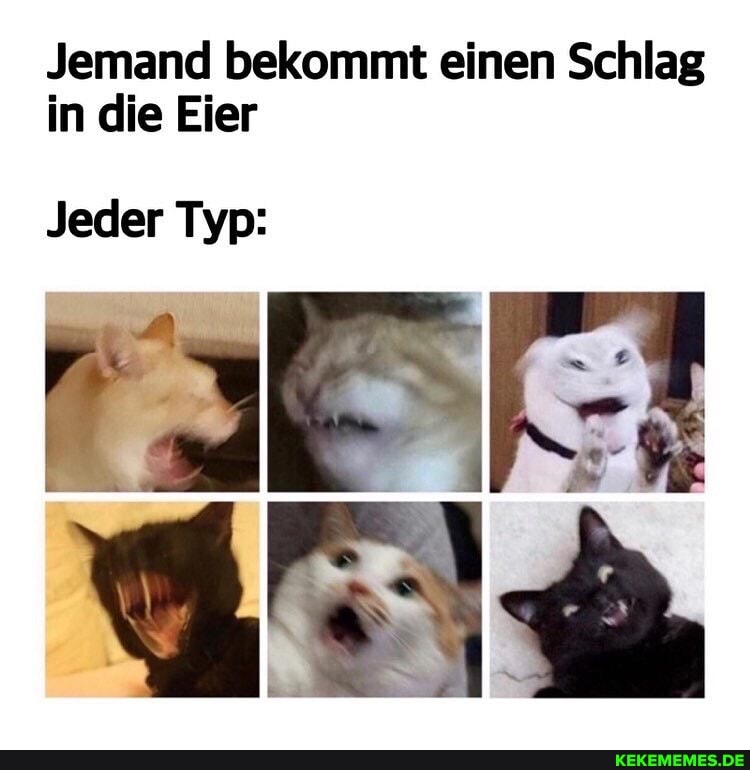 Jemand bekommt einen Schlag in die Eier
Jeder Typ: