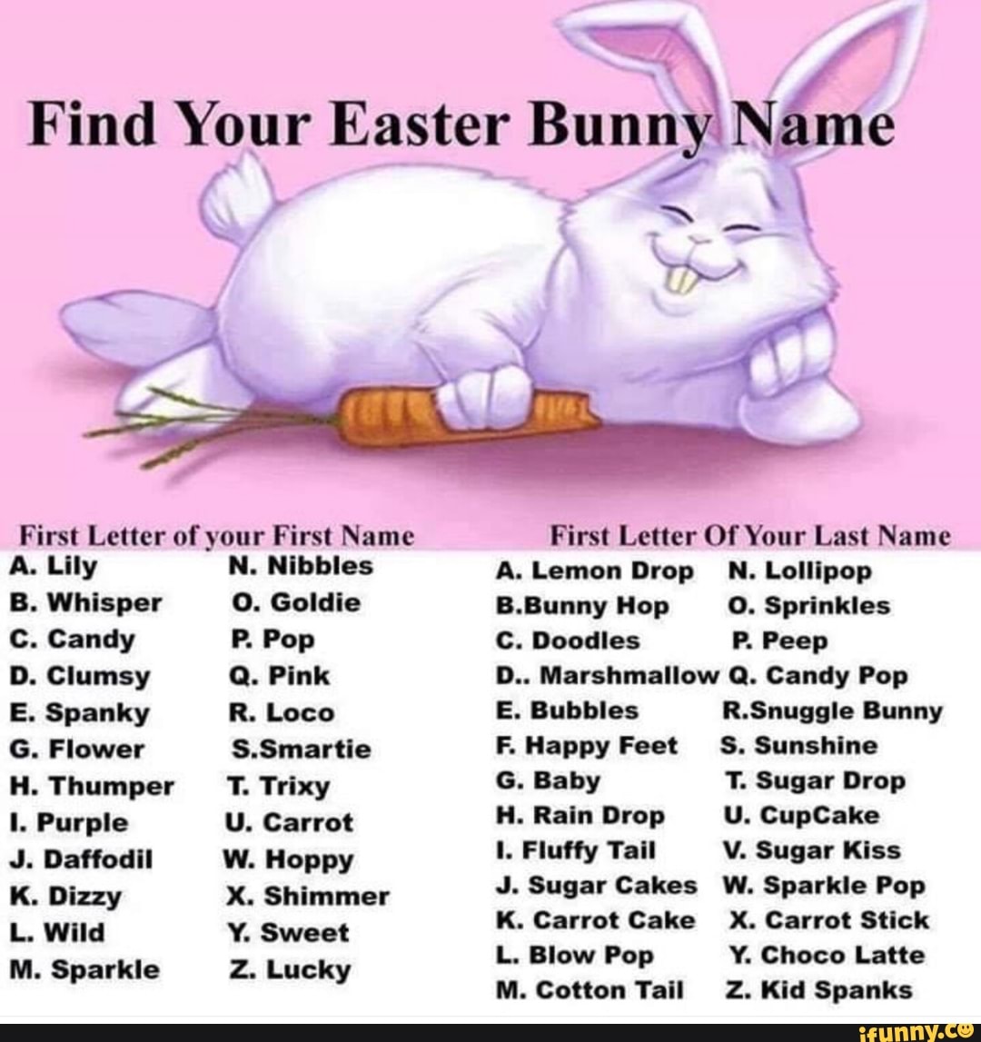 First Letter Of Your First Name A Llly N Nibbles B Whisper O Goldie C Candy P Pop D Clumsy 0 Pink E Spanky R Loco H Thumper T Trixy Purple J