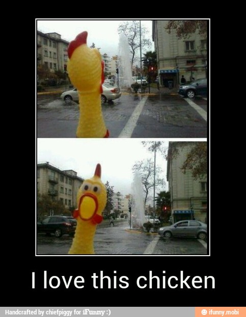 I love this chicken - I love this chicken