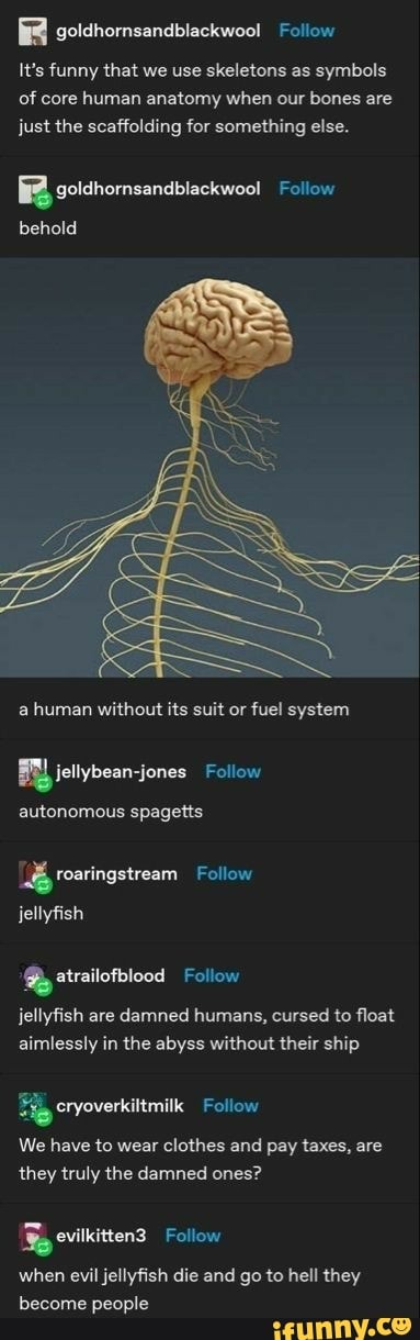 It's funny that we use skeletons as symbols of core human anatomy when our bones are just the scaffolding for something else.
golchornsandbiackwoo! Follow
behold
a human without its suit or fuel system
ietlybean-jones Follow
autonomous spagetts
Boatingstream Follow jellyfish
atrailofblood Follow jellyfish are damned humans, cursed to float
aimlessly in the abyss without their ship
cryoverkiltmilk Follow
We have to wear clothes and pay taxes, are they truly the damned ones?
ovilkittens Follow
when evil jellyfish die and go to hell they become people