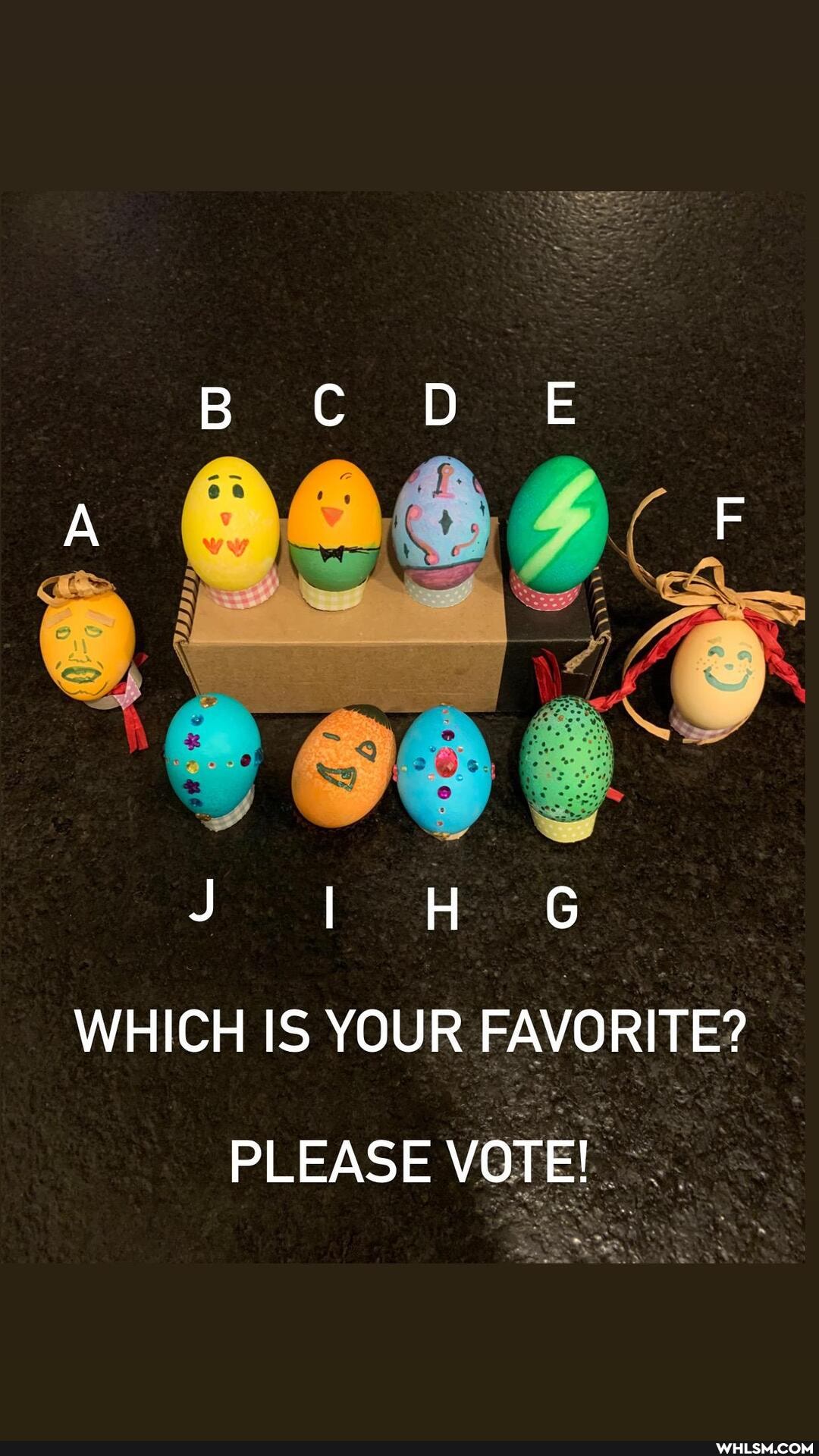 WHICH IS YOUR FAVORITE?
PLEASE VOTE!
